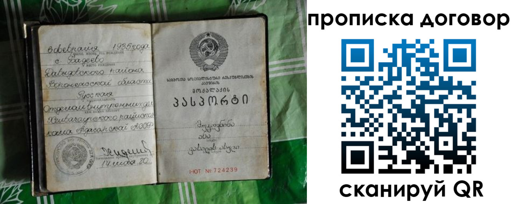 прописка в Богдановиче